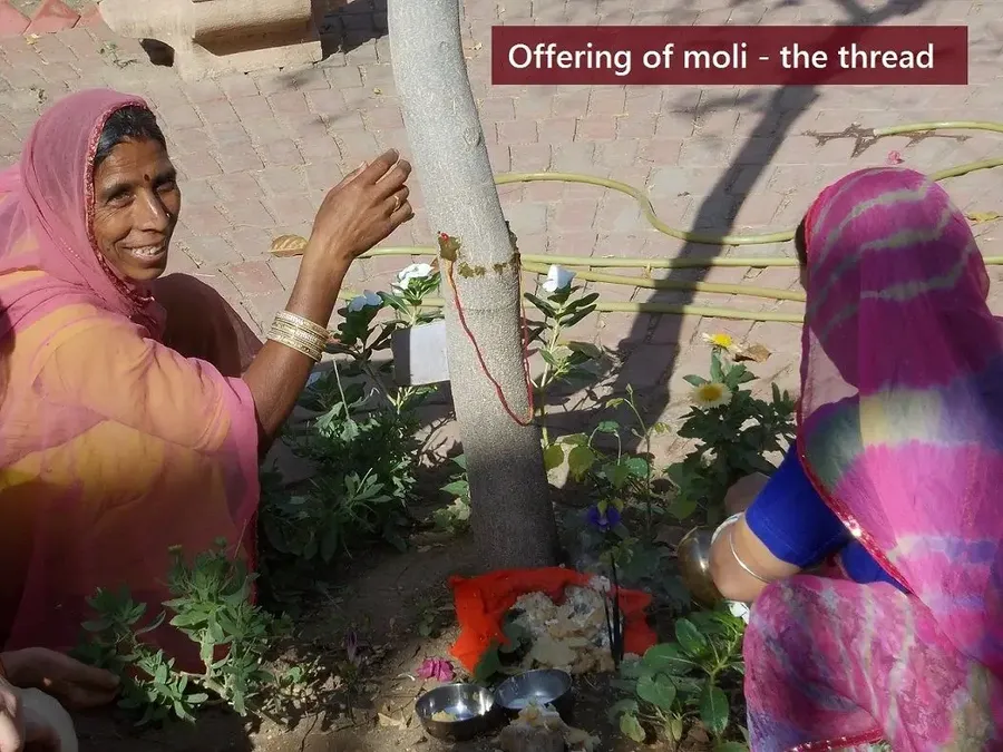 the-day-of-shitala-devi bodyImage